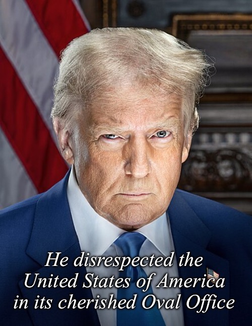 Who was disrespectful? | He disrespected the United States of America in its cherished Oval Office | image tagged in donald trump | made w/ Imgflip meme maker