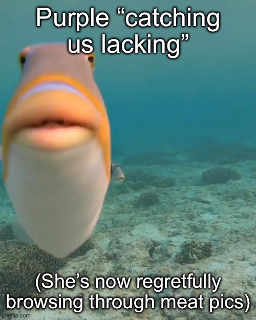 staring fish | Purple “catching us lacking”; (She’s now regretfully browsing through meat pics) | image tagged in staring fish | made w/ Imgflip meme maker