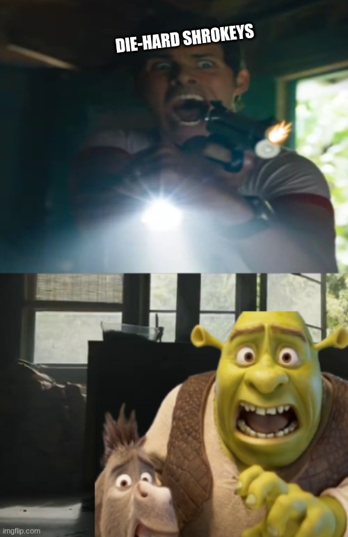 Shrek 5 meme | DIE-HARD SHROKEYS | image tagged in shrek 5 meme,memes,shrek,funny memes,ogre,sonic the hedgehog | made w/ Imgflip meme maker