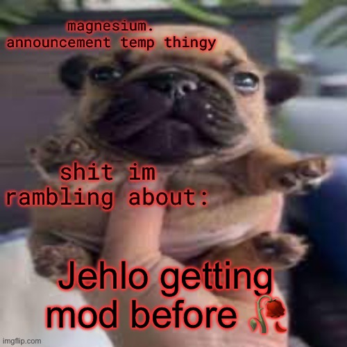 give everyone owner | Jehlo getting mod before 🥀 | image tagged in pug temp | made w/ Imgflip meme maker