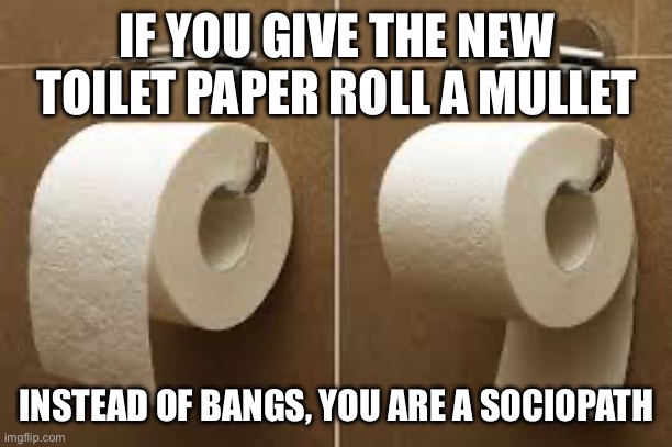 Toilet paper, mullet or bangs? | IF YOU GIVE THE NEW TOILET PAPER ROLL A MULLET; INSTEAD OF BANGS, YOU ARE A SOCIOPATH | image tagged in toilet paper rolls,fun,bangs,mullet,toilet,jokes | made w/ Imgflip meme maker