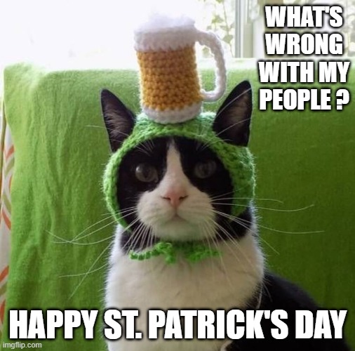 memes by Brad - Cat wants to know what's wrong with it's people - St. Patrick's Day | WHAT'S WRONG WITH MY PEOPLE ? HAPPY ST. PATRICK'S DAY | image tagged in cats,kitten,st patrick's day,funny,costume,humor | made w/ Imgflip meme maker