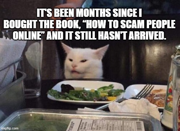 Scam book | IT'S BEEN MONTHS SINCE I BOUGHT THE BOOK, “HOW TO SCAM PEOPLE ONLINE” AND IT STILL HASN'T ARRIVED. | image tagged in smudge that darn cat | made w/ Imgflip meme maker