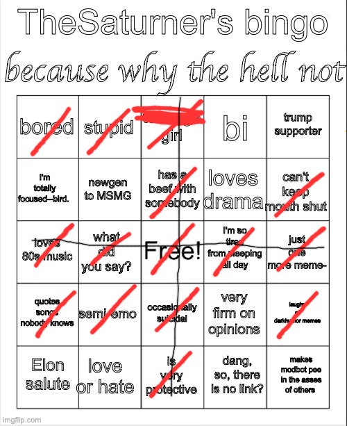 Saturner's Bingo Thingy | image tagged in saturner's bingo thingy | made w/ Imgflip meme maker