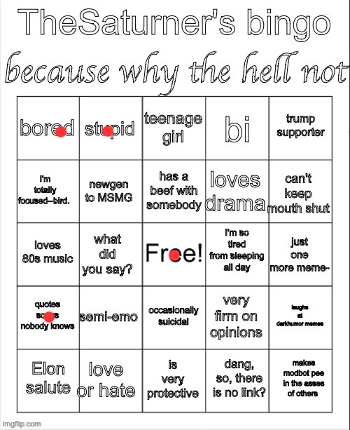 Saturner's Bingo Thingy | image tagged in saturner's bingo thingy | made w/ Imgflip meme maker