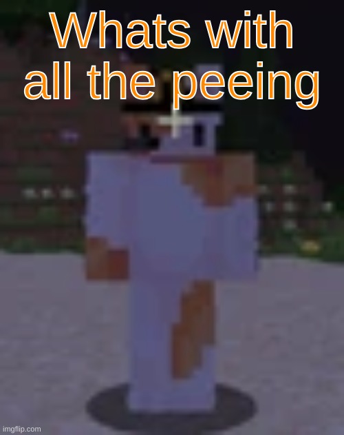 Nox | Whats with all the peeing | image tagged in nox | made w/ Imgflip meme maker