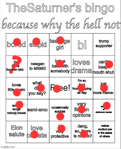 Saturner's Bingo Thingy | image tagged in saturner's bingo thingy | made w/ Imgflip meme maker