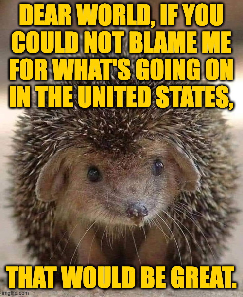 It's just that a lot of us have lost our minds. | DEAR WORLD, IF YOU
COULD NOT BLAME ME
FOR WHAT'S GOING ON
IN THE UNITED STATES, THAT WOULD BE GREAT. | image tagged in memes,american politics,insanity | made w/ Imgflip meme maker