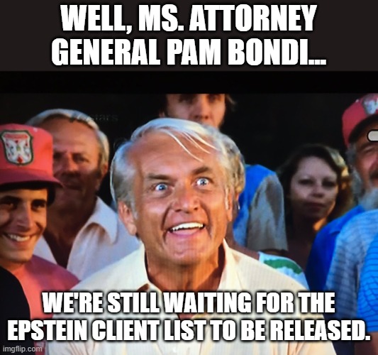 I'm tired of waiting pam!! | WELL, MS. ATTORNEY GENERAL PAM BONDI... WE'RE STILL WAITING FOR THE EPSTEIN CLIENT LIST TO BE RELEASED. | image tagged in caddyshack we're waiting,jeffrey epstein | made w/ Imgflip meme maker