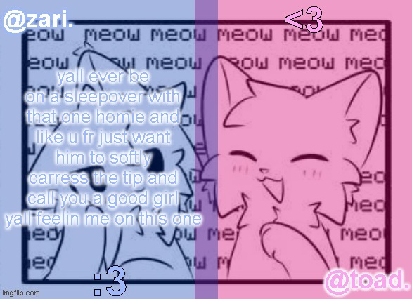 zari and toad's shared temp <3 | yall ever be on a sleepover with that one homie and like u fr just want him to softly carress the tip and call you a good girl yall feelin me on this one | image tagged in zari and toad's shared temp 3 | made w/ Imgflip meme maker