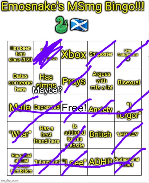 Emosnake's MSmg bingo | Maybe? | image tagged in emosnake's msmg bingo | made w/ Imgflip meme maker