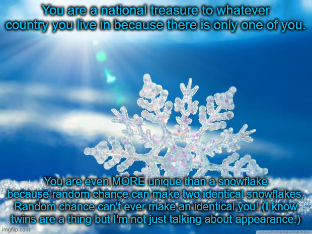 Day 3? of posting something uplifting every day | You are a national treasure to whatever country you live in because there is only one of you. You are even MORE unique than a snowflake because random chance can make two identical snowflakes. Random chance can't ever make an identical you! (I know twins are a thing but I'm not just talking about appearance.) | image tagged in snowflake,motivational,uplifting | made w/ Imgflip meme maker