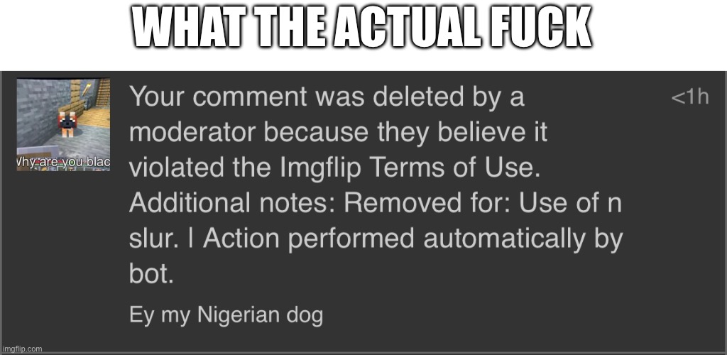 Ik this was modbot so simple mistake on the ai’s part | WHAT THE ACTUAL FUCK | made w/ Imgflip meme maker