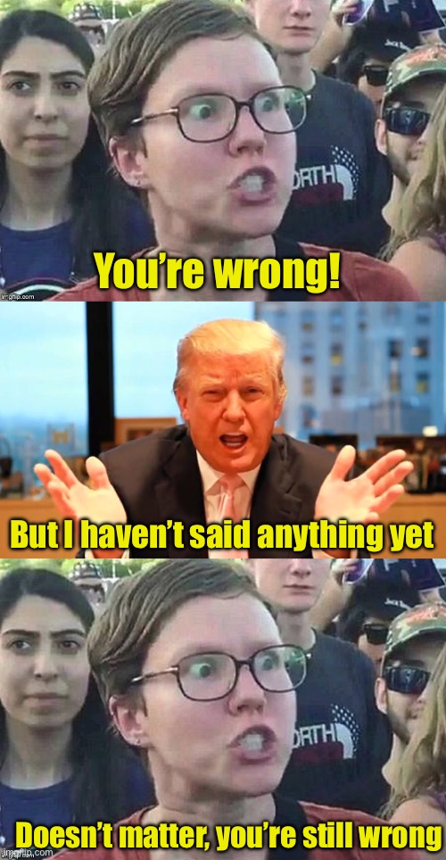 The left already have their mind made up about anything Trump says or does | You’re wrong! But I haven’t said anything yet; Doesn’t matter, you’re still wrong | image tagged in meme angry woman,trump birthday meme,liberal logic | made w/ Imgflip meme maker