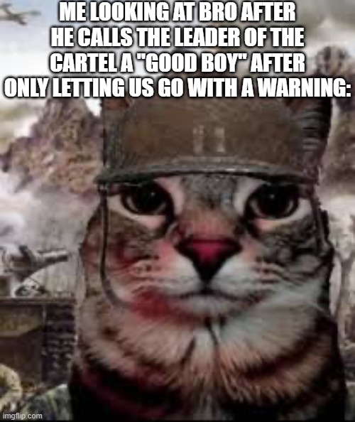 ... | ME LOOKING AT BRO AFTER HE CALLS THE LEADER OF THE CARTEL A "GOOD BOY" AFTER ONLY LETTING US GO WITH A WARNING: | image tagged in 1000 yard stare cat,funny,funnyfunny memes,unfunny,relatable,drake hotline bling | made w/ Imgflip meme maker