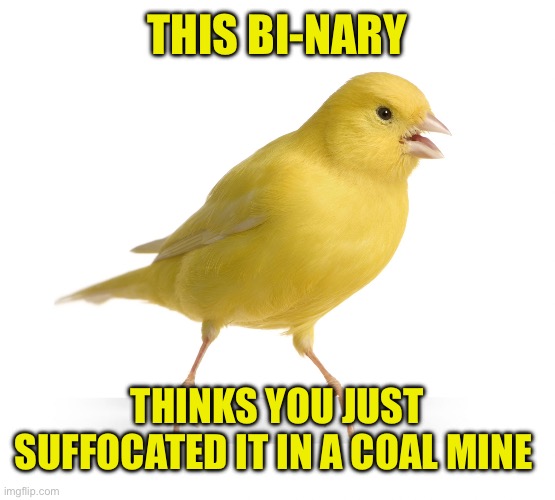 THIS BI-NARY THINKS YOU JUST SUFFOCATED IT IN A COAL MINE | image tagged in canary | made w/ Imgflip meme maker