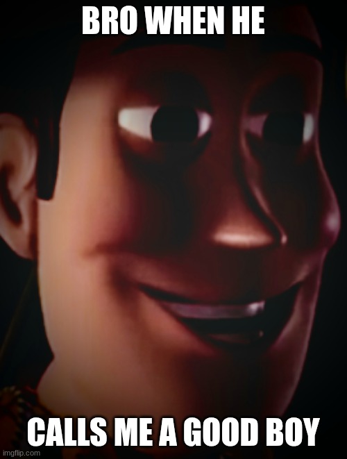 Freaky staring woody | BRO WHEN HE CALLS ME A GOOD BOY | image tagged in freaky staring woody | made w/ Imgflip meme maker