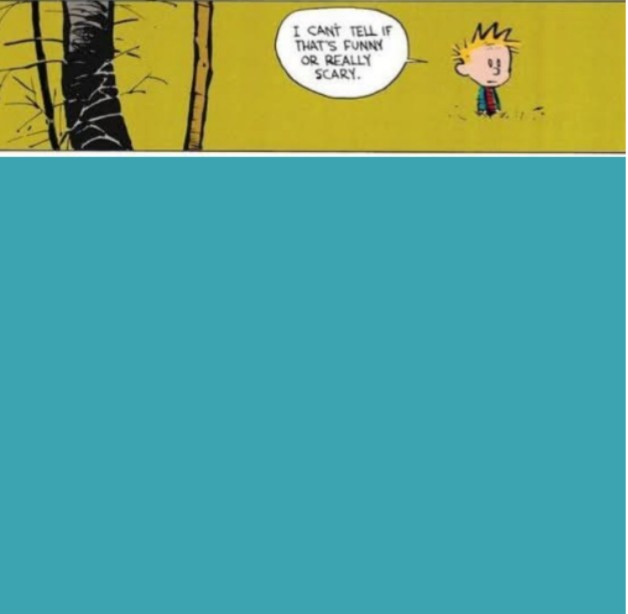 Funny or scary Blank Meme Template