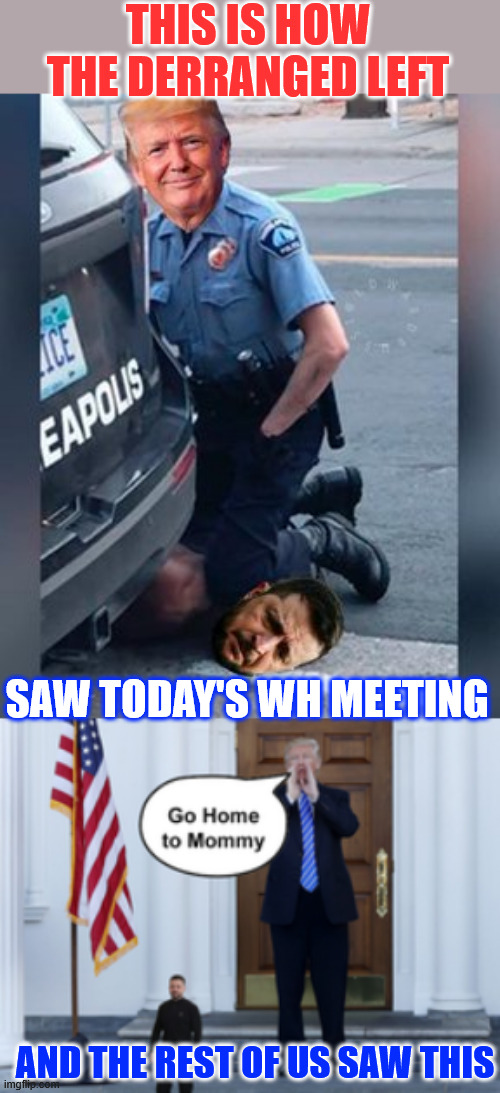 Thankfully we have a President who puts America first | THIS IS HOW THE DERRANGED LEFT; SAW TODAY'S WH MEETING; AND THE REST OF US SAW THIS | image tagged in zelenskyy,trump,wh meeting | made w/ Imgflip meme maker