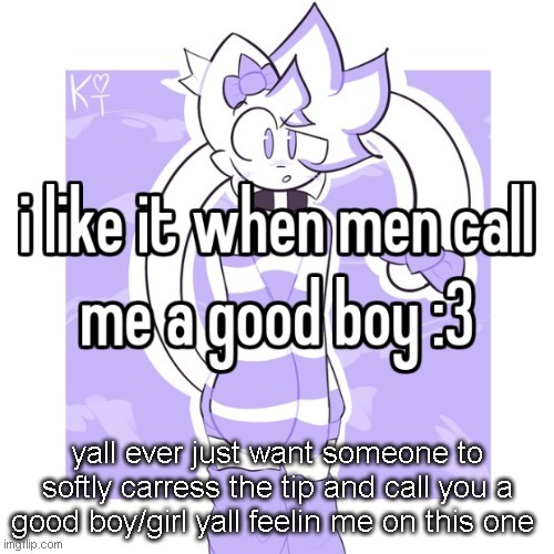 i reworded it | yall ever just want someone to softly carress the tip and call you a good boy/girl yall feelin me on this one | image tagged in 3 | made w/ Imgflip meme maker