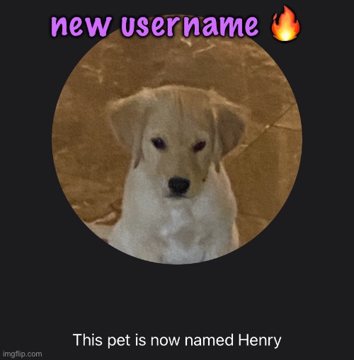 say hi to Henry | new username 🔥 | image tagged in say hi to henry | made w/ Imgflip meme maker