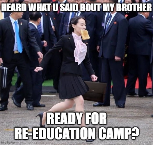 Kim Yo Jong Toast | HEARD WHAT U SAID BOUT MY BROTHER READY FOR RE-EDUCATION CAMP? | image tagged in kim yo jong toast | made w/ Imgflip meme maker