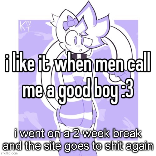 :3 | i went on a 2 week break and the site goes to shit again | image tagged in 3 | made w/ Imgflip meme maker