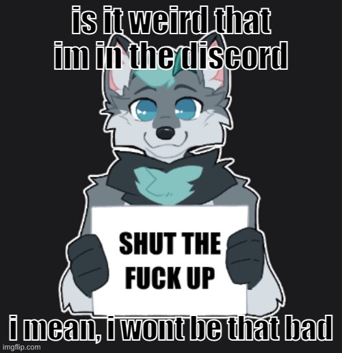 STFU | is it weird that im in the discord; i mean, i wont be that bad | image tagged in stfu | made w/ Imgflip meme maker
