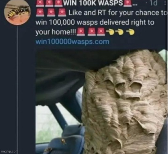 100k wasps | made w/ Imgflip meme maker