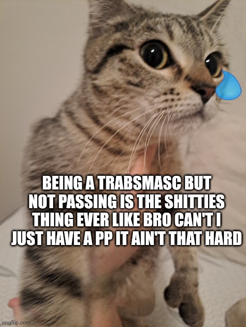 Mood | BEING A TRABSMASC BUT NOT PASSING IS THE SHITTIES THING EVER LIKE BRO CAN'T I JUST HAVE A PP IT AIN'T THAT HARD | made w/ Imgflip meme maker