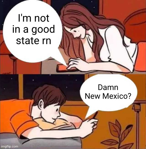 me rn | I'm not in a good state rn; Damn New Mexico? | image tagged in boy and girl texting,new mexico,texting,funny,so true,state | made w/ Imgflip meme maker