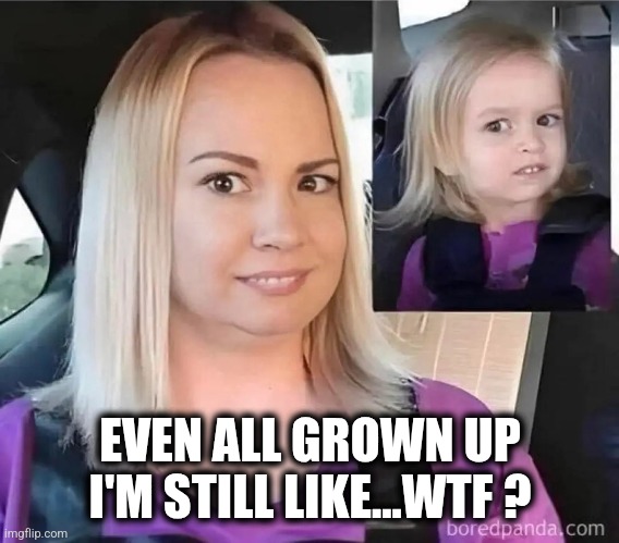 Wtf | EVEN ALL GROWN UP I'M STILL LIKE...WTF ? | image tagged in all grown up | made w/ Imgflip meme maker