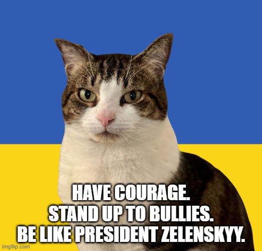 HAVE COURAGE.
STAND UP TO BULLIES.
BE LIKE PRESIDENT ZELENSKYY. | made w/ Imgflip meme maker