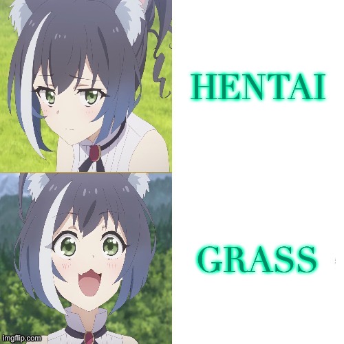 Kyaru hotline bling | HENTAI; GRASS | image tagged in kyaru hotline bling | made w/ Imgflip meme maker