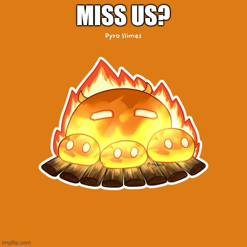 Pyro slimes | MISS US? | image tagged in pyro slimes | made w/ Imgflip meme maker