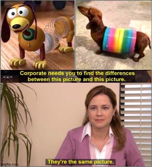 Real Life Slinky ! | image tagged in dogs,slinky,toy story,they're the same picture | made w/ Imgflip meme maker