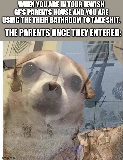 Smells like a gas chamber in here | WHEN YOU ARE IN YOUR JEWISH GF’S PARENTS HOUSE AND YOU ARE USING THE THEIR BATHROOM TO TAKE SHIT. THE PARENTS ONCE THEY ENTERED: | image tagged in ptsd chihuahua | made w/ Imgflip meme maker