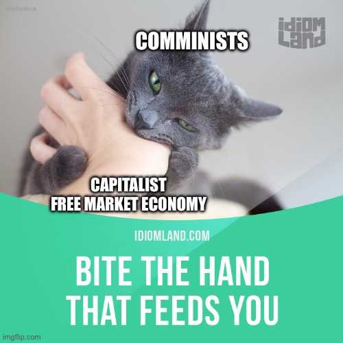 COMMINISTS; CAPITALIST FREE MARKET ECONOMY | made w/ Imgflip meme maker