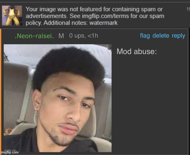 oh so some minor tiktok watermark is enough to get my post taken down | image tagged in mod abuse | made w/ Imgflip meme maker