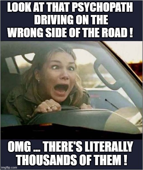 Get Outta D' Way ! | LOOK AT THAT PSYCHOPATH
 DRIVING ON THE WRONG SIDE OF THE ROAD ! OMG ... THERE'S LITERALLY
 THOUSANDS OF THEM ! | image tagged in woman,bad driver,oncoming traffic,dark humour | made w/ Imgflip meme maker