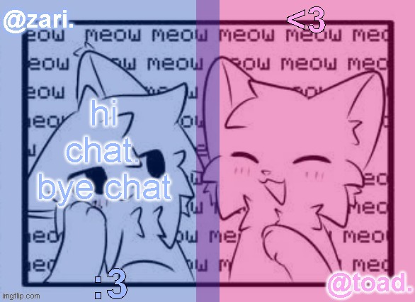 zari and toad's shared temp <3 | hi chat.
bye chat | image tagged in zari and toad's shared temp 3 | made w/ Imgflip meme maker