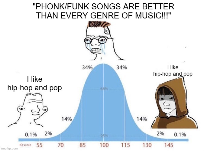 what a rollercoaster | "PHONK/FUNK SONGS ARE BETTER THAN EVERY GENRE OF MUSIC!!!"; I like hip-hop and pop; I like hip-hop and pop | image tagged in bell curve,music,hiphop,pop,funk,funny | made w/ Imgflip meme maker