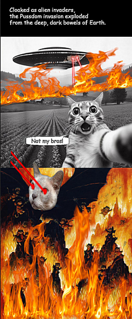 Catonia Attacks! | image tagged in memes,cats | made w/ Imgflip meme maker