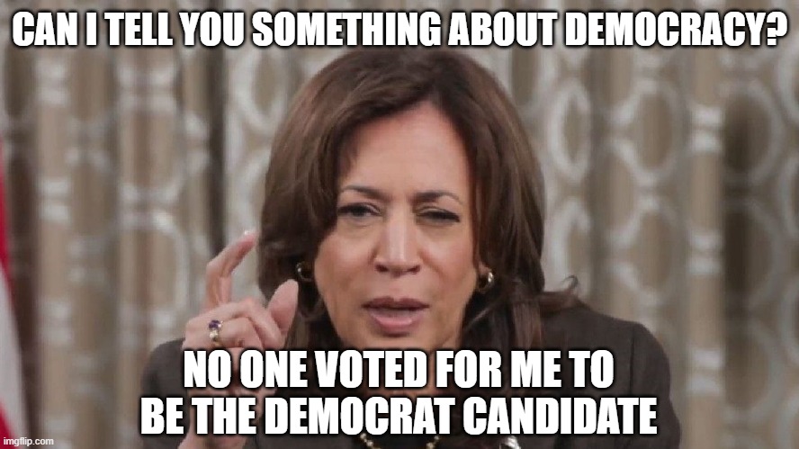 Drunk Kamala Wisdom | CAN I TELL YOU SOMETHING ABOUT DEMOCRACY? NO ONE VOTED FOR ME TO BE THE DEMOCRAT CANDIDATE | image tagged in drunk kamala wisdom | made w/ Imgflip meme maker