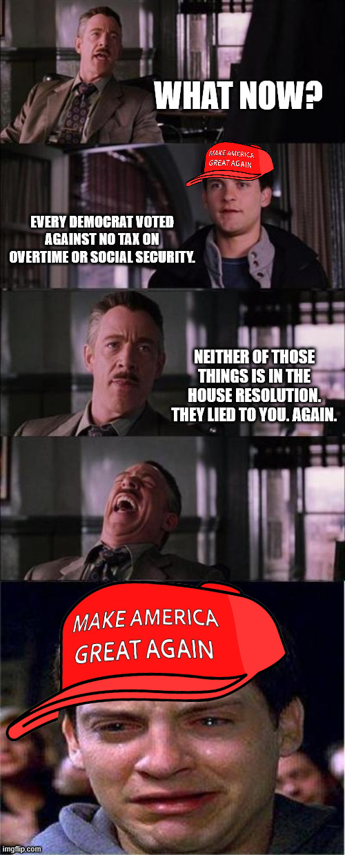 Cry harder, maga | WHAT NOW? EVERY DEMOCRAT VOTED AGAINST NO TAX ON OVERTIME OR SOCIAL SECURITY. NEITHER OF THOSE THINGS IS IN THE HOUSE RESOLUTION. THEY LIED TO YOU. AGAIN. | image tagged in memes,peter parker cry | made w/ Imgflip meme maker