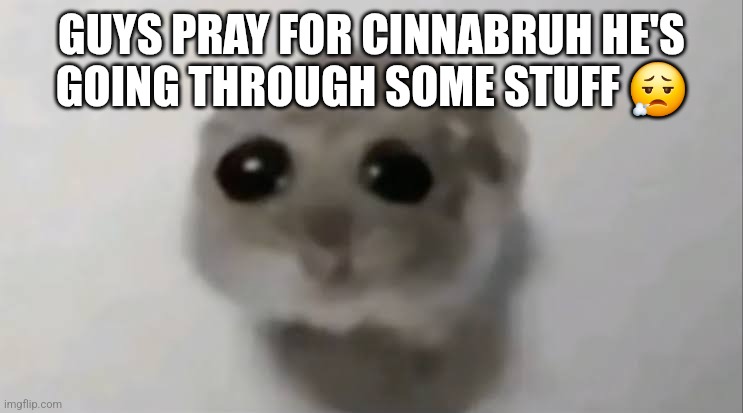 Sad Hamster | GUYS PRAY FOR CINNABRUH HE'S GOING THROUGH SOME STUFF 😮‍💨 | image tagged in sad hamster | made w/ Imgflip meme maker