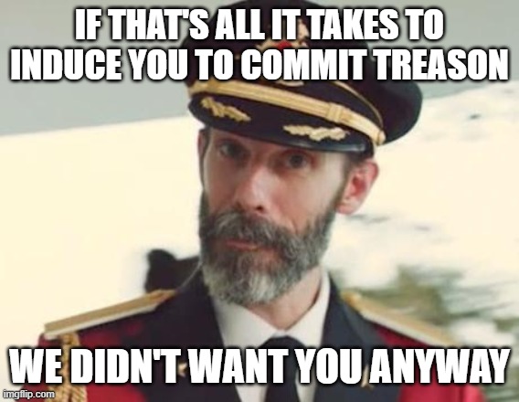 Captain Obvious | IF THAT'S ALL IT TAKES TO INDUCE YOU TO COMMIT TREASON WE DIDN'T WANT YOU ANYWAY | image tagged in captain obvious | made w/ Imgflip meme maker