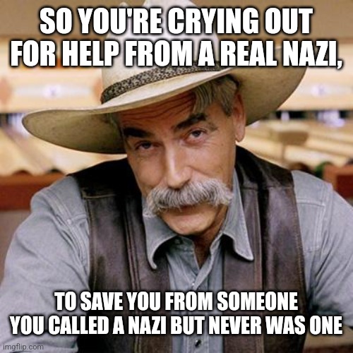 SO YOU'RE CRYING OUT FOR HELP FROM A REAL NAZI, TO SAVE YOU FROM SOMEONE YOU CALLED A NAZI BUT NEVER WAS ONE | image tagged in sarcasm cowboy | made w/ Imgflip meme maker