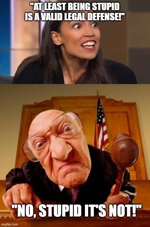 "AT LEAST BEING STUPID IS A VALID LEGAL DEFENSE!" "NO, STUPID IT'S NOT!" | image tagged in crazy aoc,mean judge | made w/ Imgflip meme maker