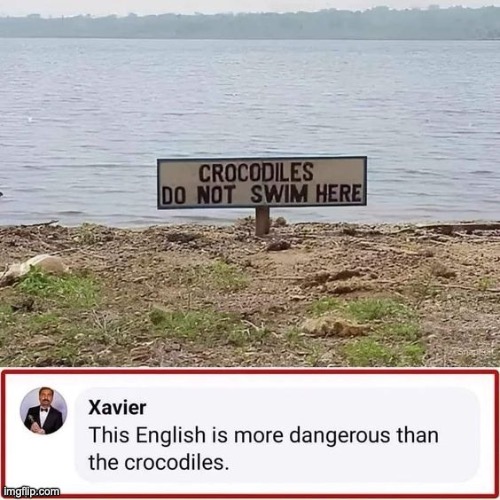 HOLeyyyyy | image tagged in memes,funny,english,crocodiles,xavier | made w/ Imgflip meme maker